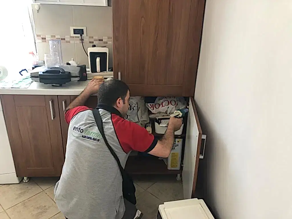 ev-ilaclama-galeri-13