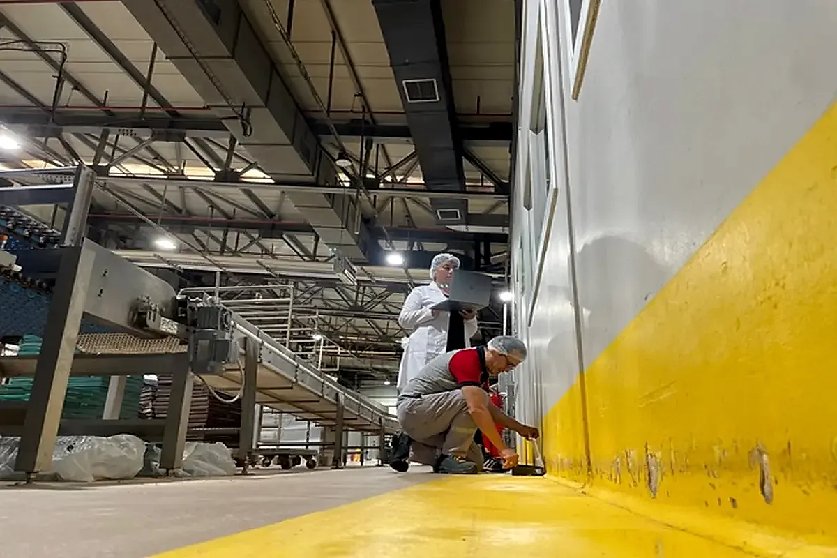 Pest (Haşere) Kontrol