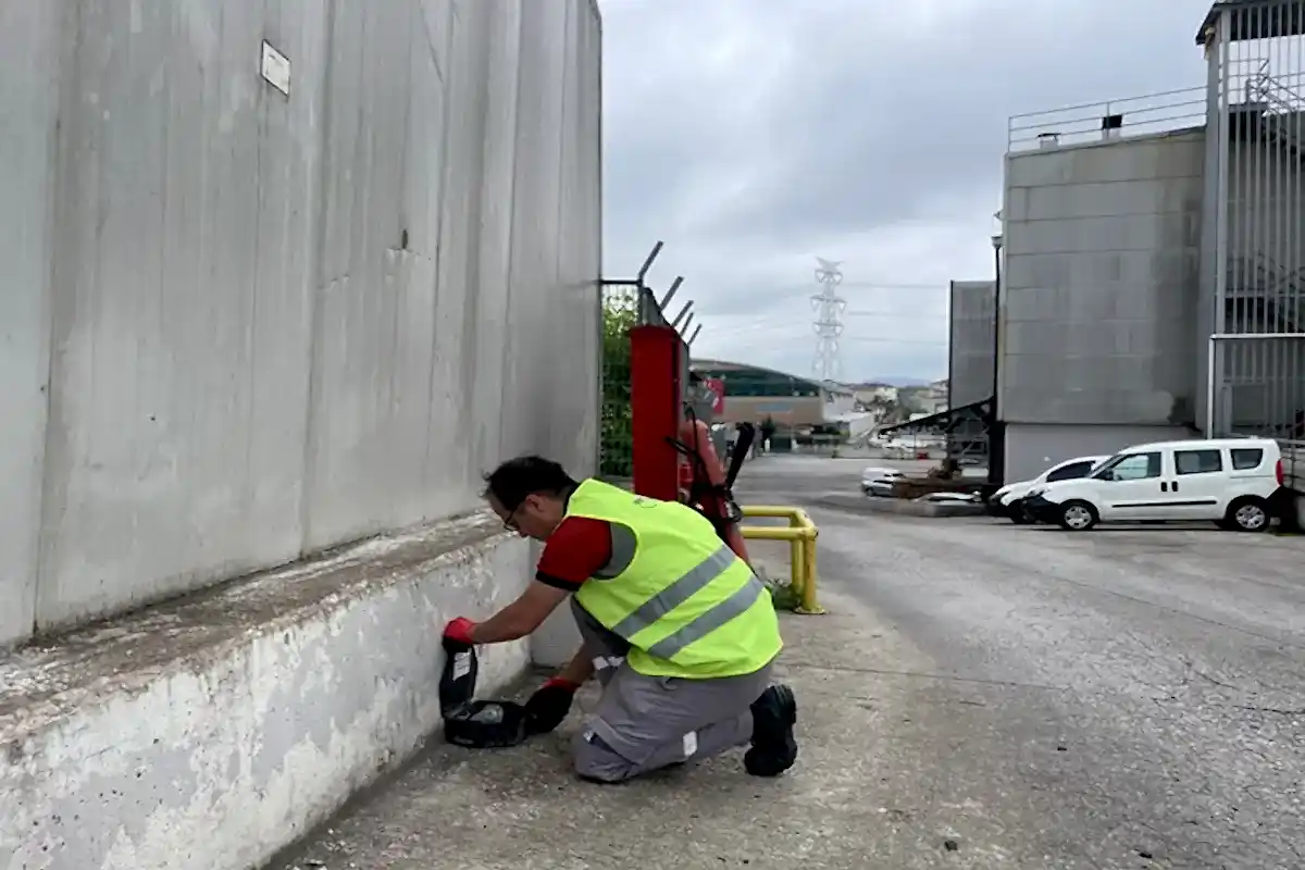 Pest (Haşere) Kontrol