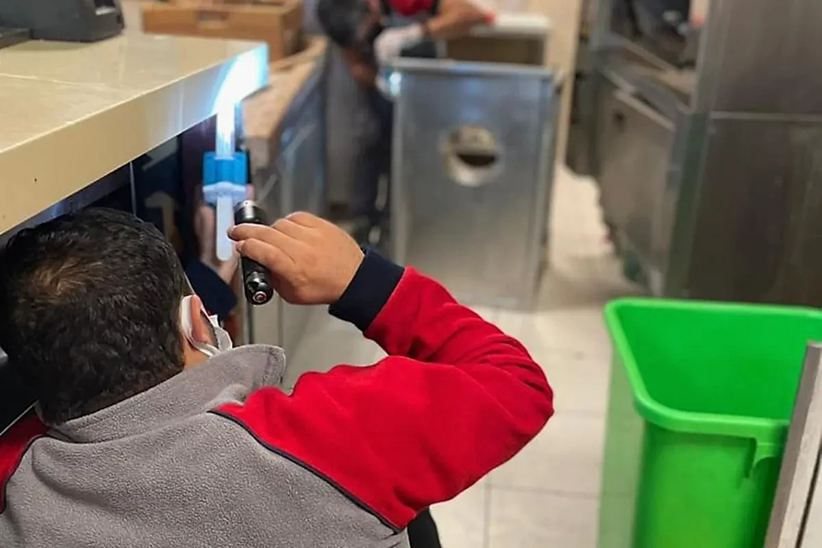 Pest (Haşere) Kontrol