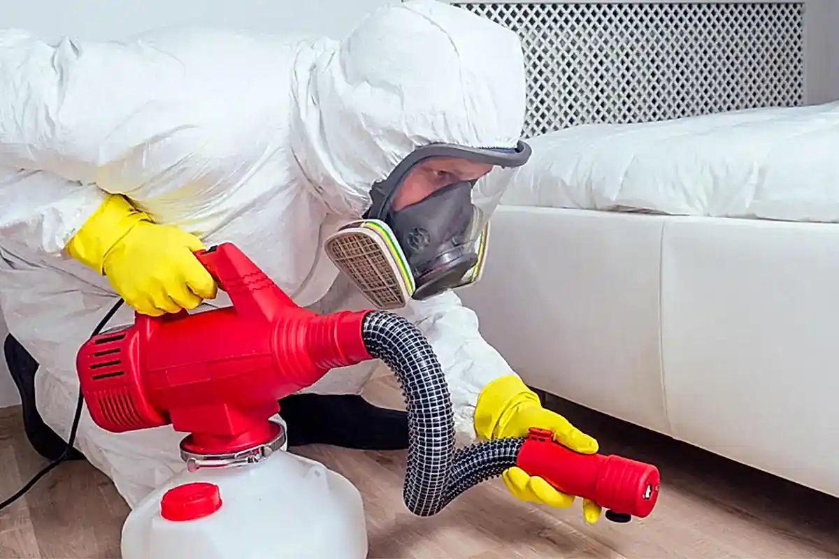 Tahta Kurusu İlaçlama Nasıl Yapılır?