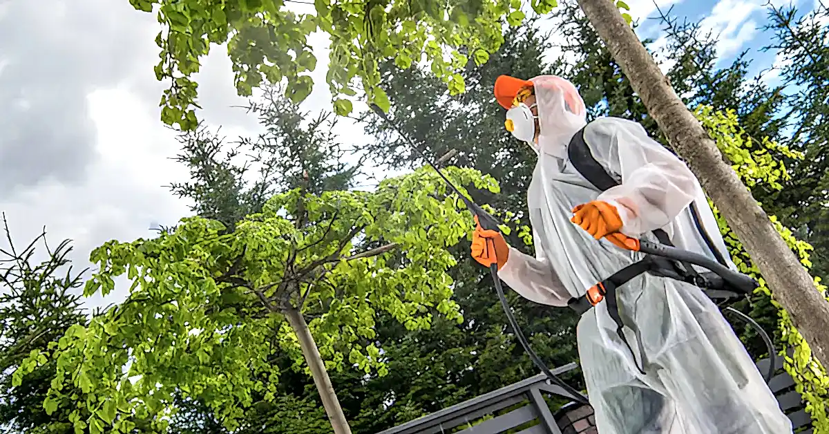 Bahçe İlaçlama Diğer İlaçlamalardan Farklı mıdır?