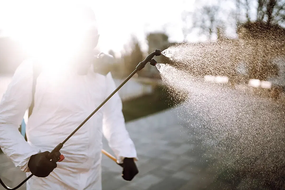 İstanbul Böcek İlaçlama