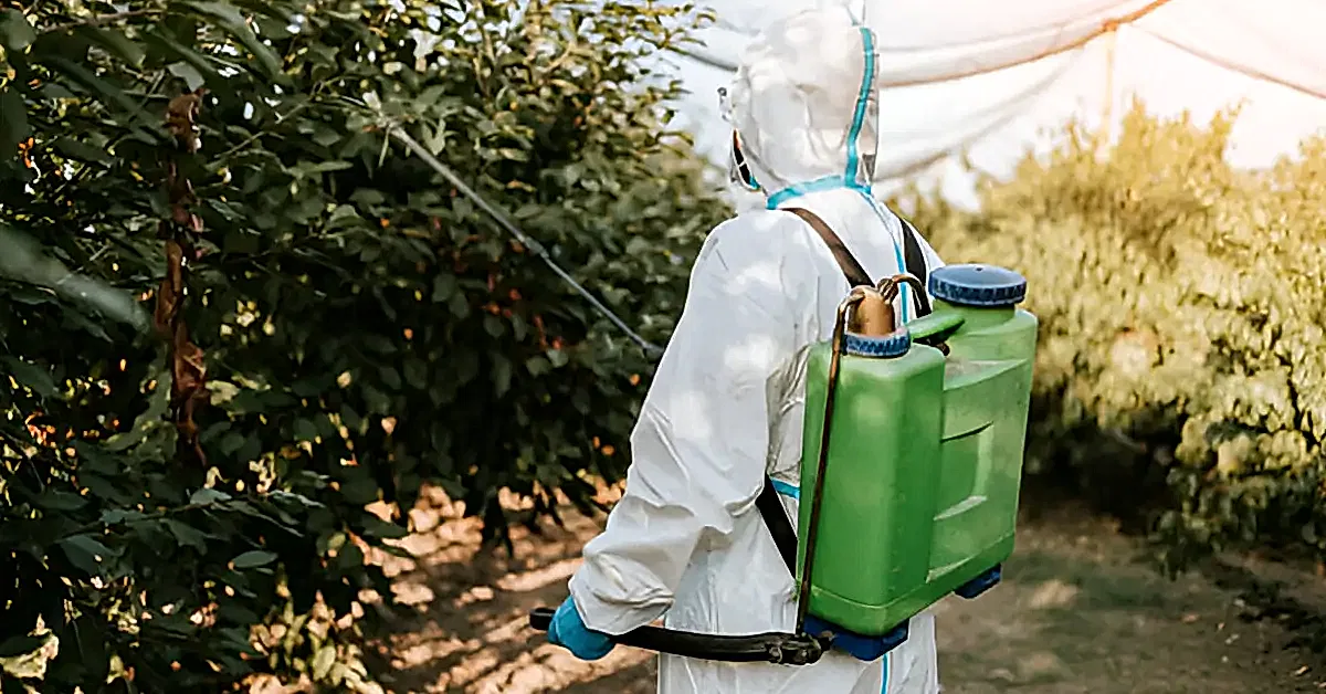 Profesyonel Bahçe İlaçlama Uygulamaları