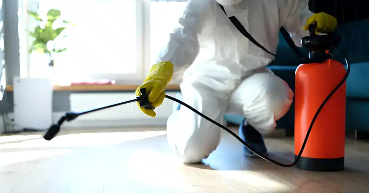 Fare İlaçlama Nasıl Yapılır