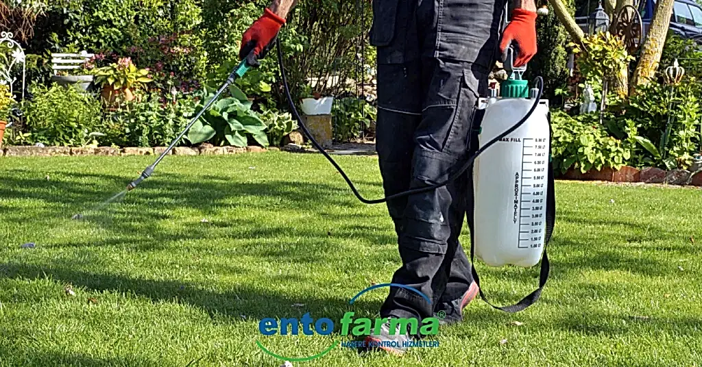 Danaburnu İle Mücadele