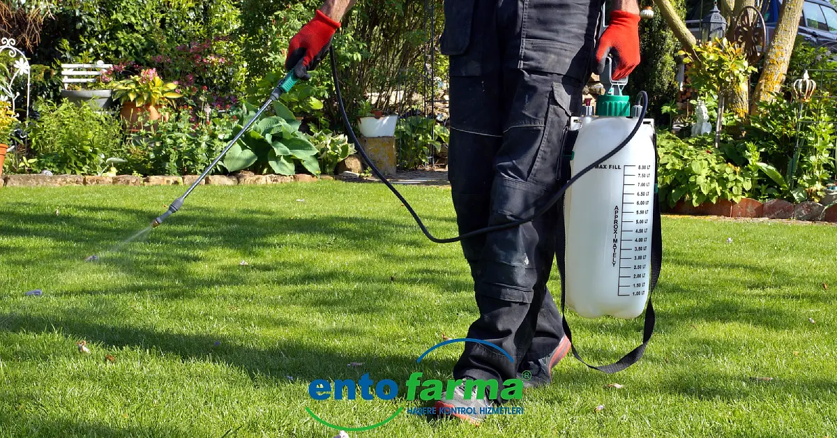 Danaburnu İle Mücadele